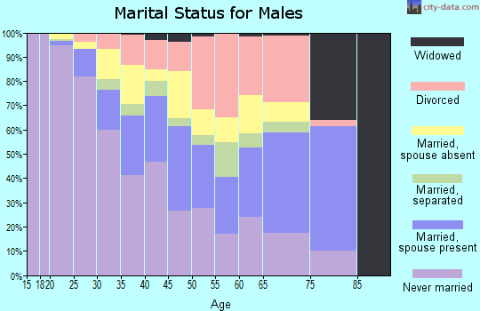 78741 Zip Code (Austin, Texas) Profile - homes, apartments