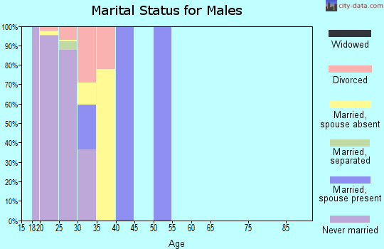 Zip code 80913 marital status for males