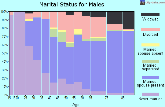 Zip code 86301 marital status for males