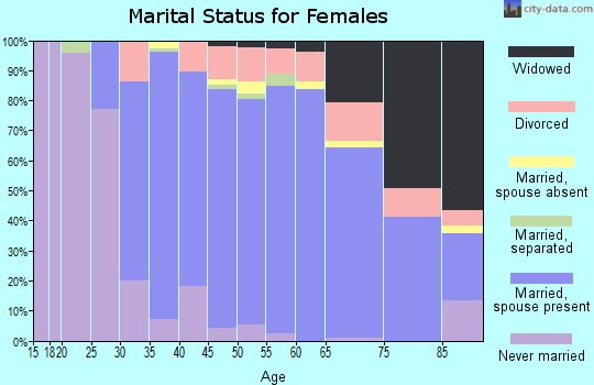 01106 Zip Code (Longmeadow, Massachusetts) Profile - homes, apartments