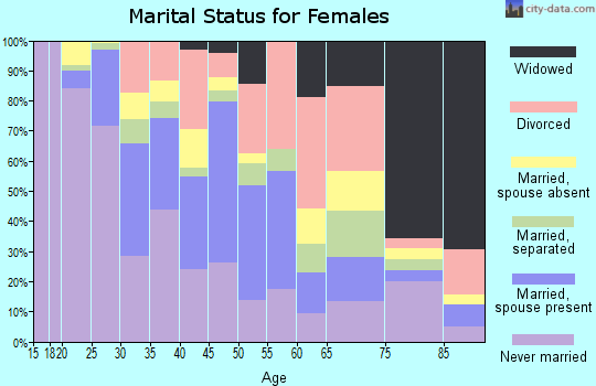 Zip code 33137 marital status for females